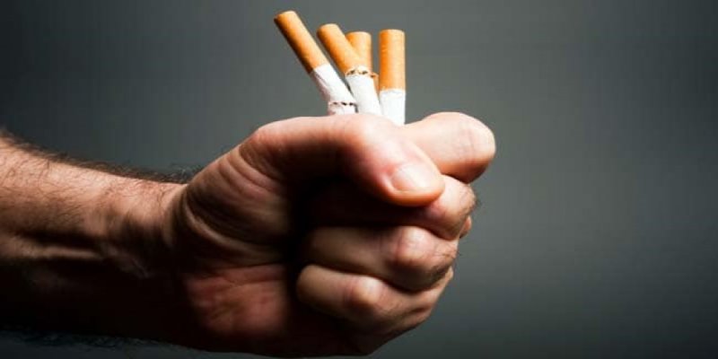 Smoking The Right Thing Will Elevate Your Health Rather Than Destroy It